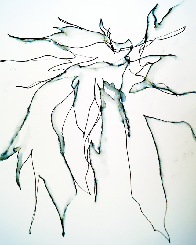Abstract Floral Pen Drawing